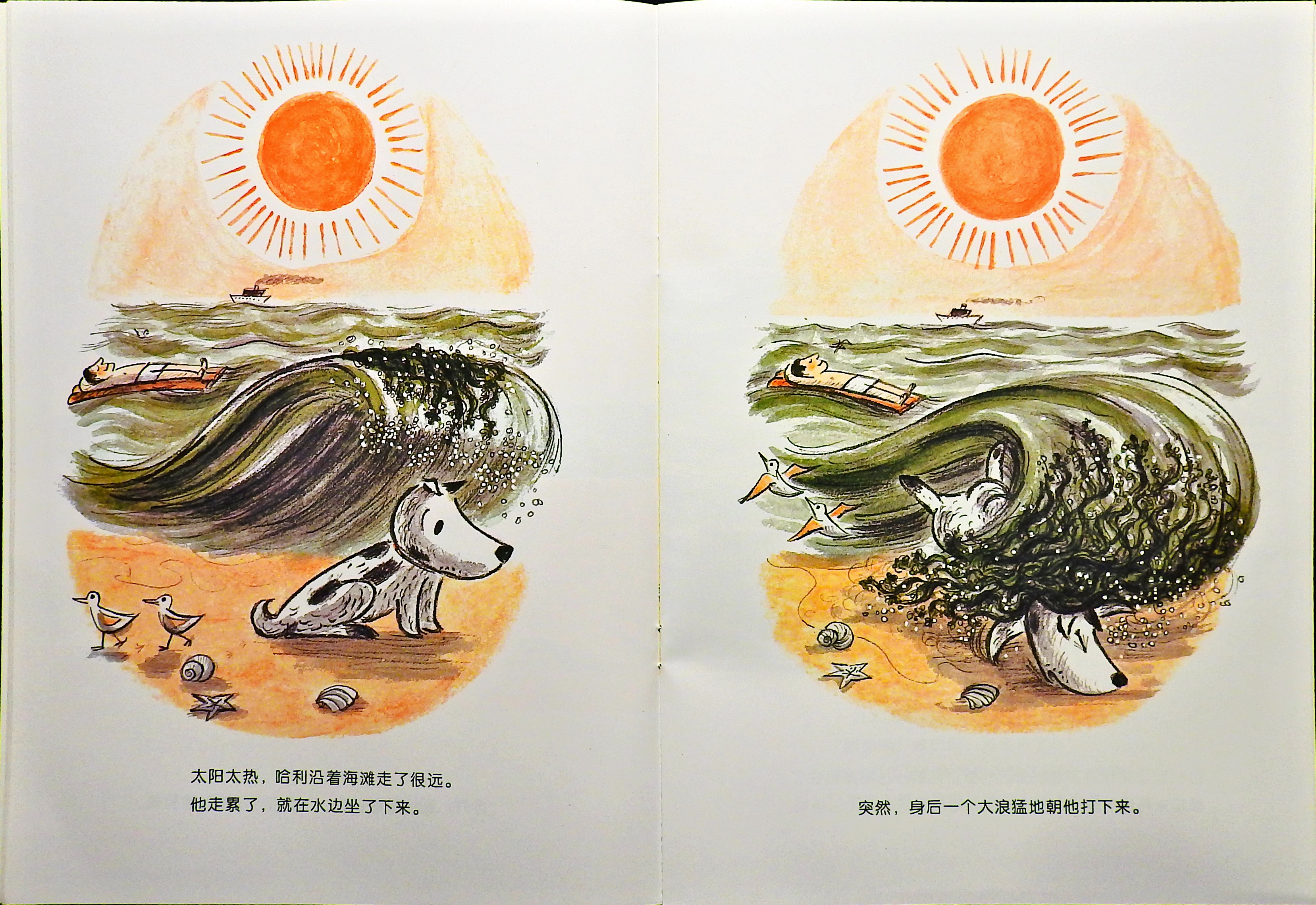 哈利海边历险记 (08),绘本,绘本故事,绘本阅读,故事书,童书,图画书,课外阅读